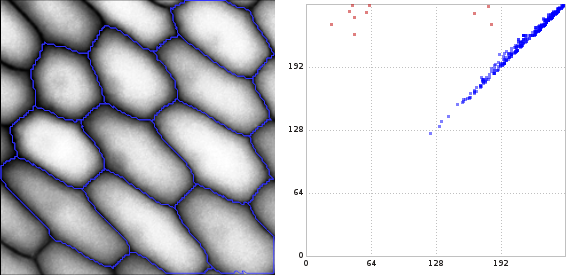 1-dimensional persistence diagram and a few cycles with significant persistence.