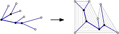 Phylogenetic tree